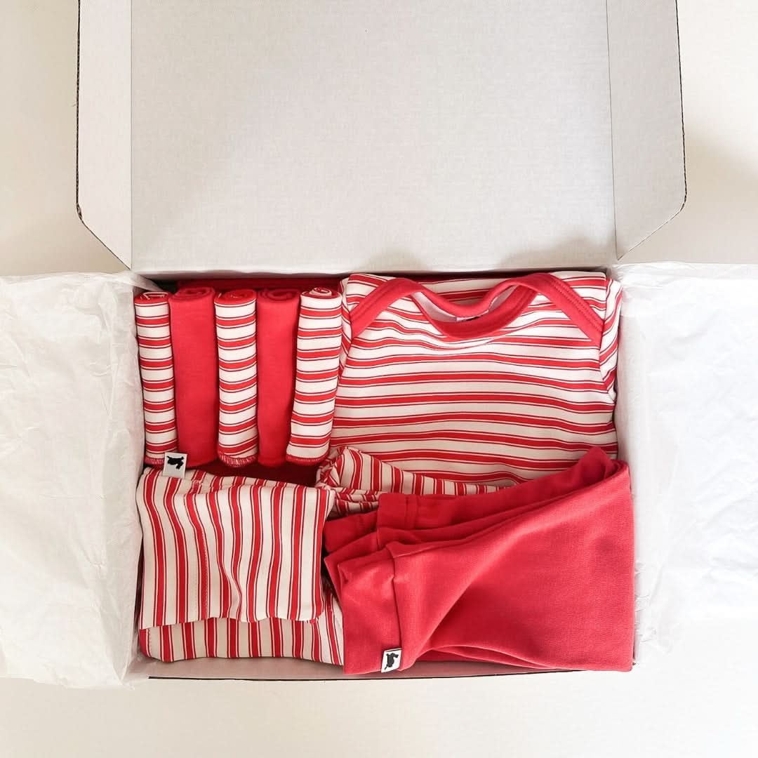 Bamboo Baby Capsule Gift Box | Berry Stripe & Berry - Image 3