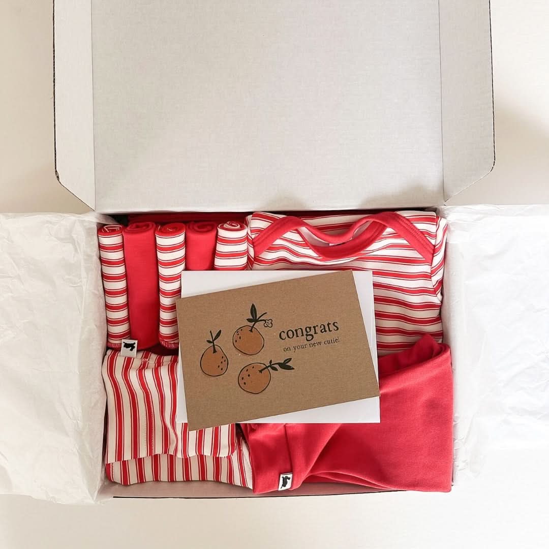 Bamboo Baby Capsule Gift Box | Berry Stripe & Berry - Image 7